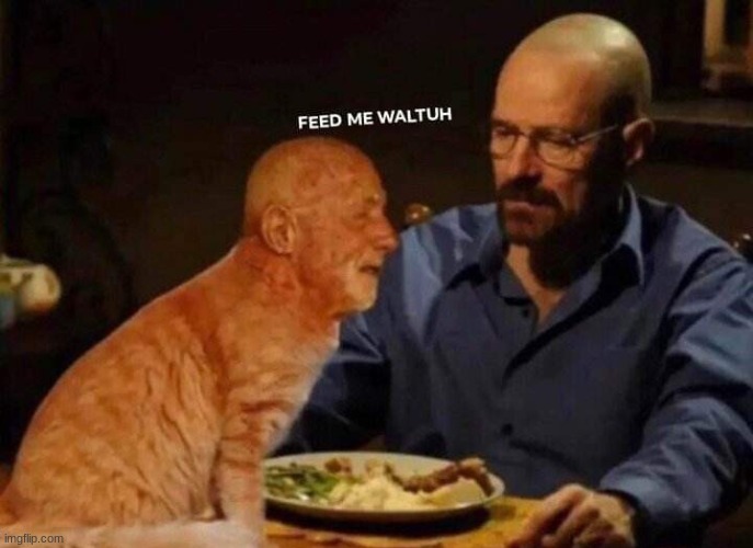 FEED HIM WALTUH | made w/ Imgflip meme maker