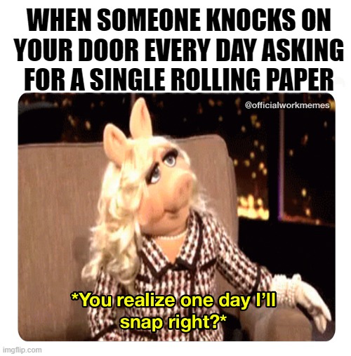 Miss Piggy Snap One Day | WHEN SOMEONE KNOCKS ON YOUR DOOR EVERY DAY ASKING FOR A SINGLE ROLLING PAPER | image tagged in miss piggy | made w/ Imgflip meme maker