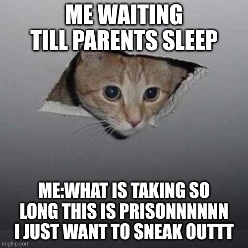 Ceiling Cat Meme | ME WAITING TILL PARENTS SLEEP; ME:WHAT IS TAKING SO LONG THIS IS PRISONNNNNN I JUST WANT TO SNEAK OUTTT | image tagged in memes,ceiling cat | made w/ Imgflip meme maker