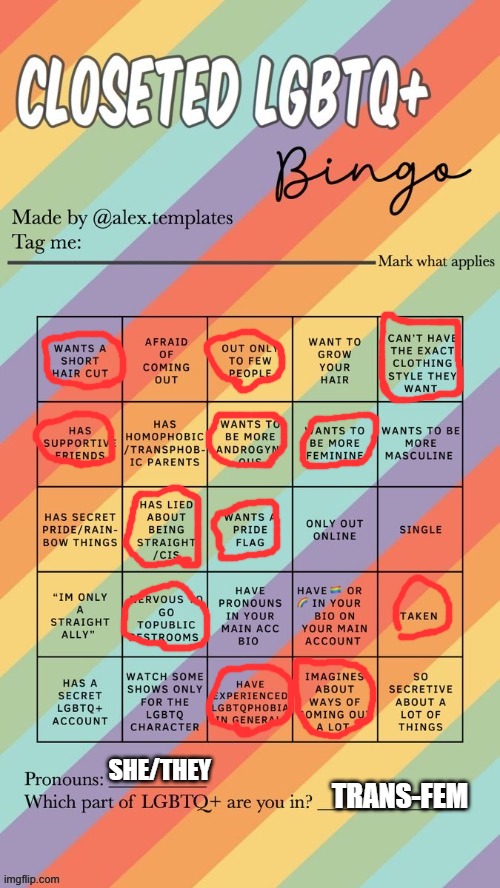 Closeted LGBTQ+ Bingo | SHE/THEY; TRANS-FEM | image tagged in closeted lgbtq bingo | made w/ Imgflip meme maker