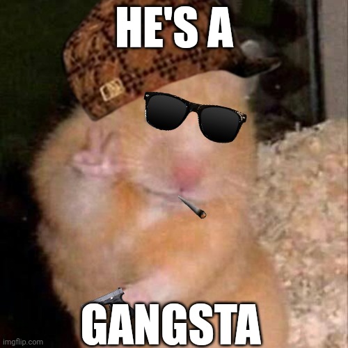 HE'S A; GANGSTA | made w/ Imgflip meme maker