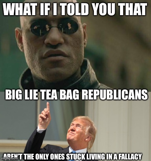 WHAT IF I TOLD YOU THAT; BIG LIE TEA BAG REPUBLICANS; AREN’T THE ONLY ONES STUCK LIVING IN A FALLACY | image tagged in memes,matrix morpheus,trump eclipse | made w/ Imgflip meme maker