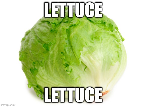 lettuce | LETTUCE; LETTUCE | image tagged in lettuce | made w/ Imgflip meme maker