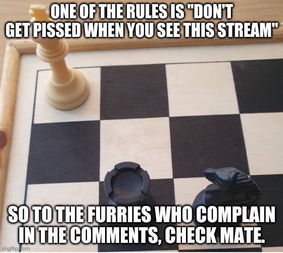 laughs in comrade* | ONE OF THE RULES IS "DON'T GET PISSED WHEN YOU SEE THIS STREAM"; SO TO THE FURRIES WHO COMPLAIN IN THE COMMENTS, CHECK MATE. | image tagged in check mate | made w/ Imgflip meme maker