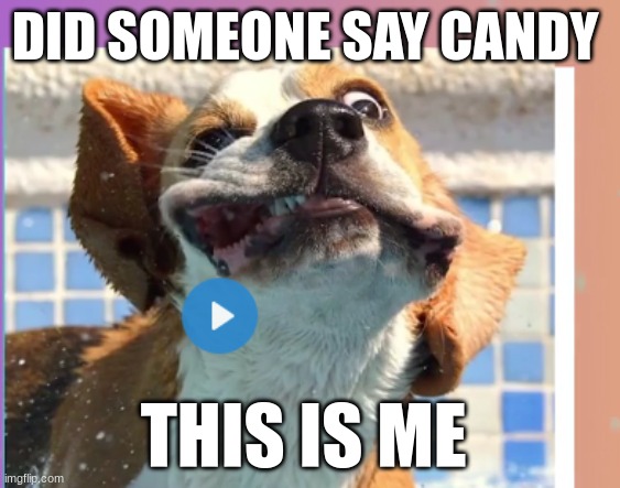 DID SOMEONE SAY CANDY; THIS IS ME | made w/ Imgflip meme maker