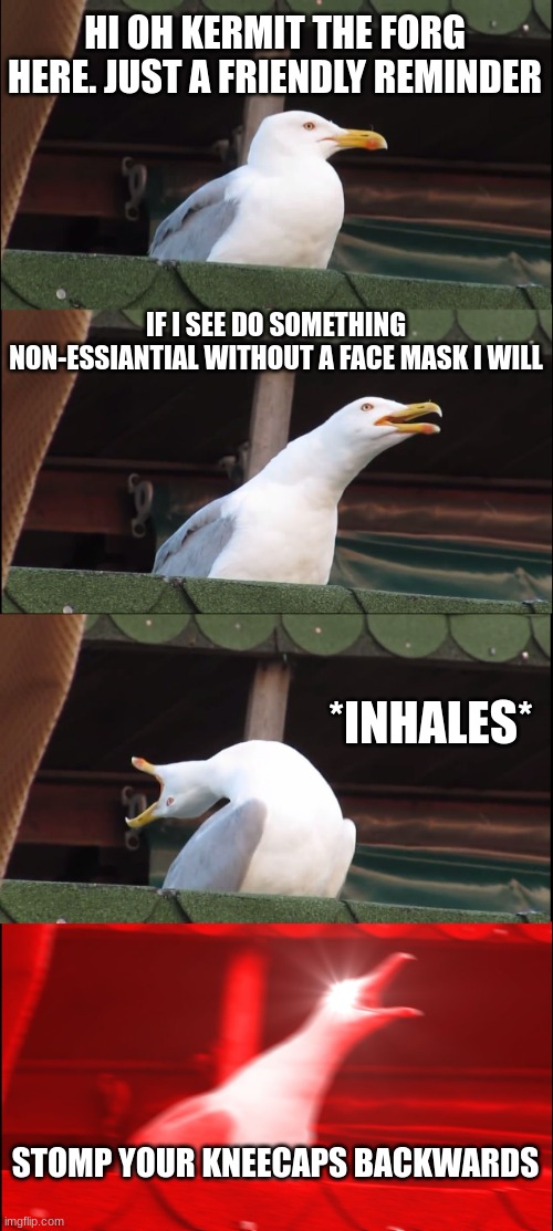 Inhaling Seagull Meme | HI OH KERMIT THE FORG HERE. JUST A FRIENDLY REMINDER; IF I SEE DO SOMETHING NON-ESSIANTIAL WITHOUT A FACE MASK I WILL; *INHALES*; STOMP YOUR KNEECAPS BACKWARDS | image tagged in memes,inhaling seagull | made w/ Imgflip meme maker