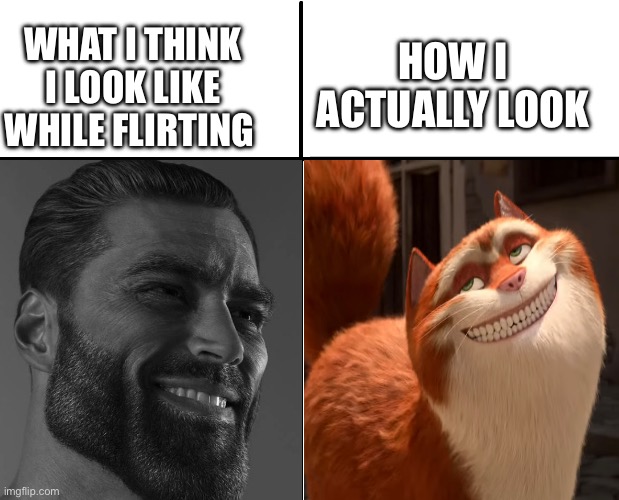Unsmooth | WHAT I THINK I LOOK LIKE WHILE FLIRTING; HOW I ACTUALLY LOOK | image tagged in cat,funny,giga chad,flirting,comparison,memes | made w/ Imgflip meme maker