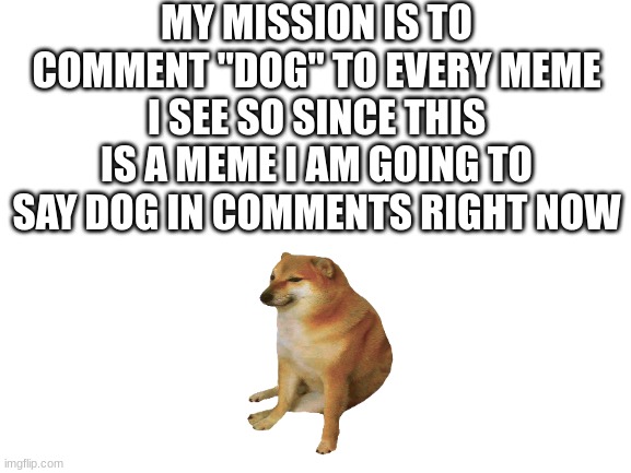Operation "Dog" |  MY MISSION IS TO COMMENT "DOG" TO EVERY MEME I SEE SO SINCE THIS IS A MEME I AM GOING TO SAY DOG IN COMMENTS RIGHT NOW | image tagged in blank white template,dog,comment section | made w/ Imgflip meme maker