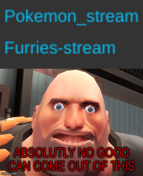 Pokemon stream+furry stream=zoophile. Basic maths | ABSOLUTLY NO GOOD CAN COME OUT OF THIS | image tagged in heavy tf2 | made w/ Imgflip meme maker