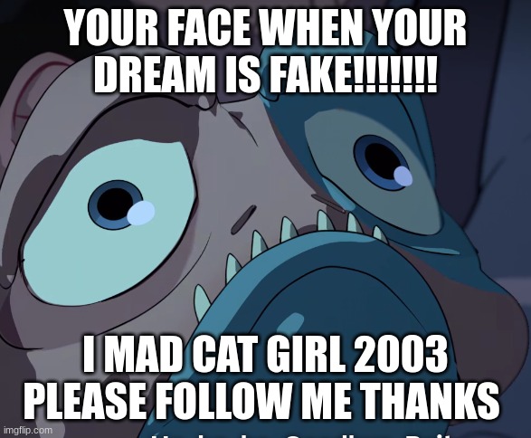 YOUR FACE WHEN YOUR DREAM IS FAKE!!!!!!! I MAD CAT GIRL 2003 PLEASE FOLLOW ME THANKS | made w/ Imgflip meme maker