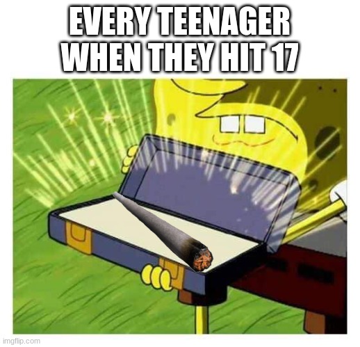 so true | EVERY TEENAGER WHEN THEY HIT 17 | image tagged in spongebob box | made w/ Imgflip meme maker