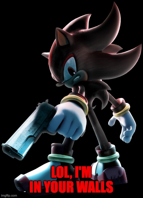 Shadow the Hedgehog | LOL, I'M IN YOUR WALLS | image tagged in shadow the hedgehog | made w/ Imgflip meme maker