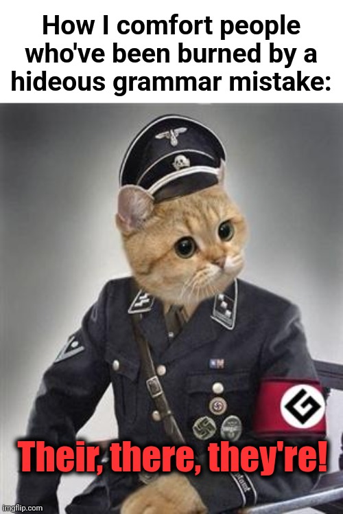 Grammar Nazi Cat | How I comfort people
who've been burned by a
hideous grammar mistake:; Their, there, they're! | image tagged in grammar nazi cat,there,their,they're,comfort | made w/ Imgflip meme maker