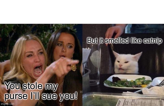 Cat has a point | But it smelled like catnip; You stole my purse I’ll sue you! | image tagged in memes,woman yelling at cat | made w/ Imgflip meme maker