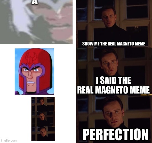 perfection | SHOW ME THE REAL MAGNETO MEME; I SAID THE REAL MAGNETO MEME; PERFECTION | image tagged in perfection,magneto | made w/ Imgflip meme maker