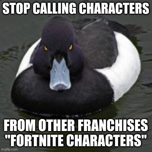 Angry Advice Mallard | STOP CALLING CHARACTERS FROM OTHER FRANCHISES "FORTNITE CHARACTERS" | image tagged in angry advice mallard | made w/ Imgflip meme maker