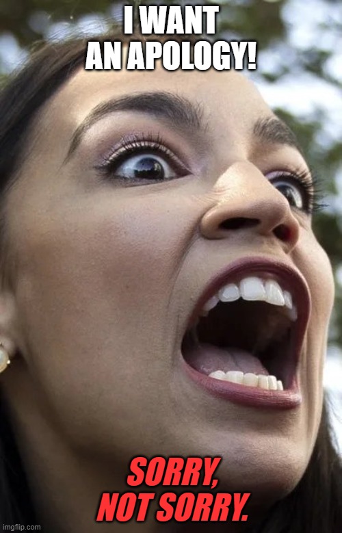 AOC has anger issues. | I WANT AN APOLOGY! SORRY, NOT SORRY. | image tagged in aoc,political meme,demoncrats,congress | made w/ Imgflip meme maker