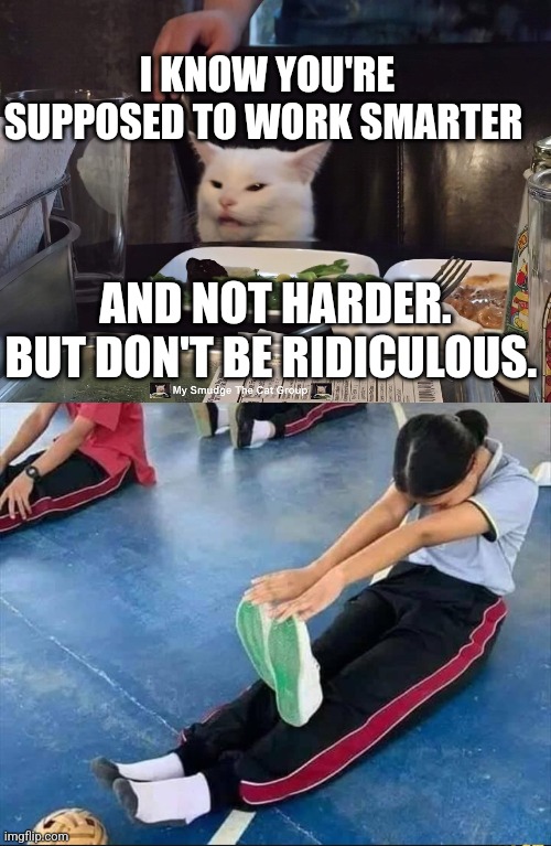 I KNOW YOU'RE SUPPOSED TO WORK SMARTER; AND NOT HARDER. BUT DON'T BE RIDICULOUS. | image tagged in smudge the cat | made w/ Imgflip meme maker