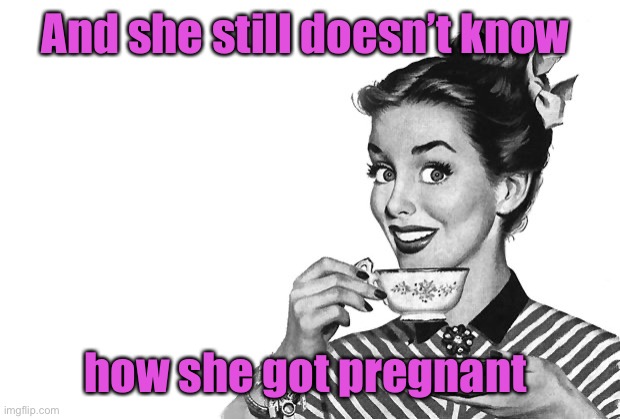 1950s Housewife | And she still doesn’t know how she got pregnant | image tagged in 1950s housewife | made w/ Imgflip meme maker