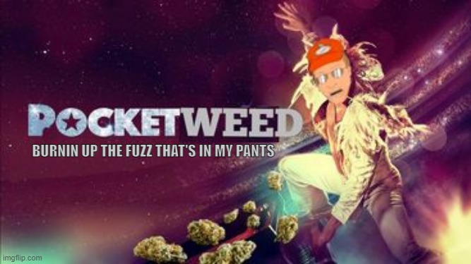 pocket weed | BURNIN UP THE FUZZ THAT'S IN MY PANTS | image tagged in pocket sand,pocket weed,king of the hill,dale gribble,shitpost,rocket man | made w/ Imgflip meme maker
