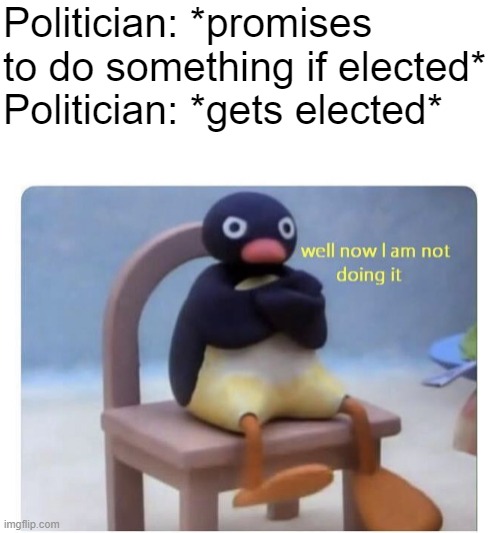empty promises lol | Politician: *promises to do something if elected*
Politician: *gets elected* | image tagged in well now i am not doing it | made w/ Imgflip meme maker
