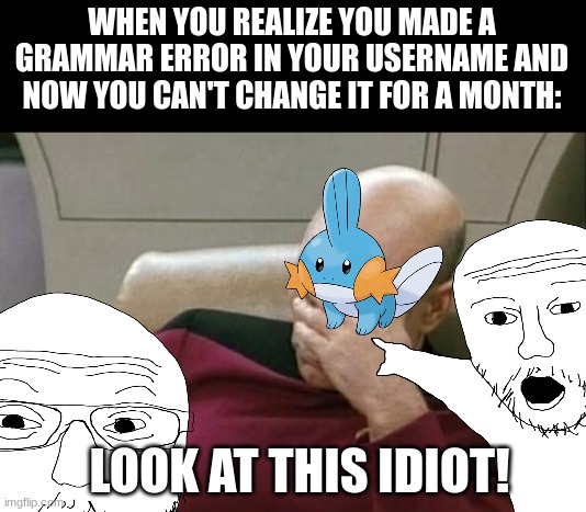 i am ashamed | WHEN YOU REALIZE YOU MADE A GRAMMAR ERROR IN YOUR USERNAME AND NOW YOU CAN'T CHANGE IT FOR A MONTH:; LOOK AT THIS IDIOT! | image tagged in memes,captain picard facepalm,grammar,police,help me | made w/ Imgflip meme maker