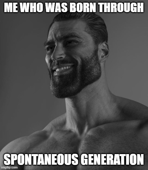 Giga Chad | ME WHO WAS BORN THROUGH SPONTANEOUS GENERATION | image tagged in giga chad | made w/ Imgflip meme maker