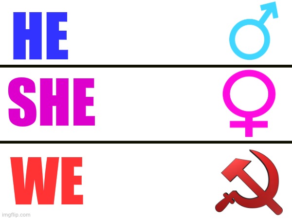 Real 3rd gender | HE; SHE; WE | image tagged in ussr,male,female,funny,gender | made w/ Imgflip meme maker