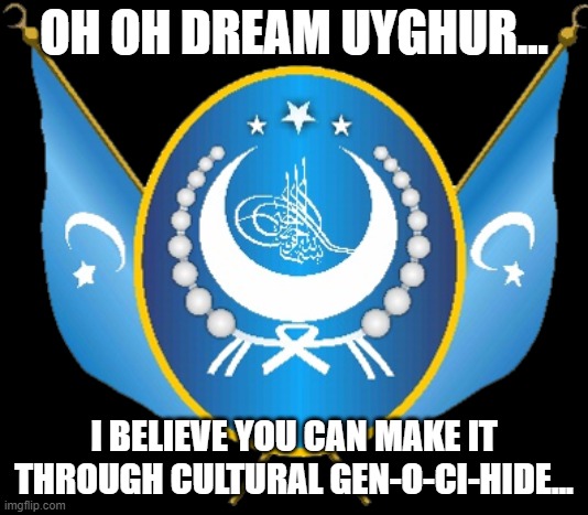 dreamuyghur uyghur uyghur... | OH OH DREAM UYGHUR... I BELIEVE YOU CAN MAKE IT THROUGH CULTURAL GEN-O-CI-HIDE... | image tagged in world uyghur congress | made w/ Imgflip meme maker