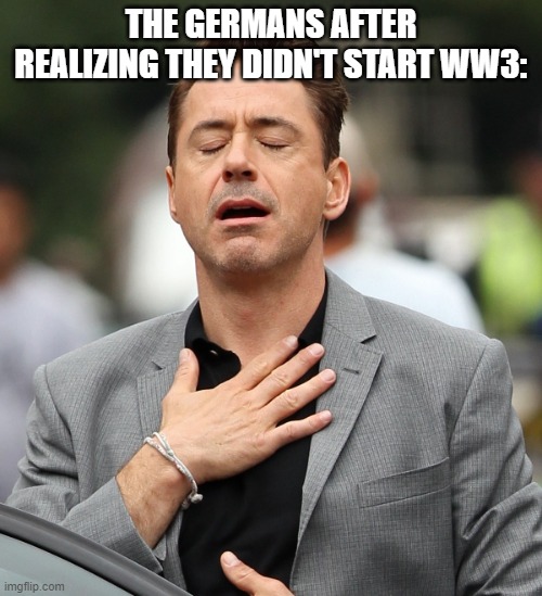 There's always round 4 | THE GERMANS AFTER REALIZING THEY DIDN'T START WW3: | image tagged in relieved rdj | made w/ Imgflip meme maker