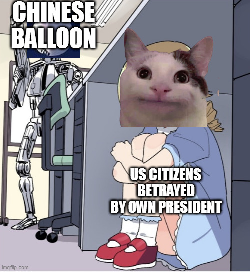 cat astrophe | CHINESE BALLOON; US CITIZENS BETRAYED BY OWN PRESIDENT | image tagged in anime girl hiding from terminator | made w/ Imgflip meme maker