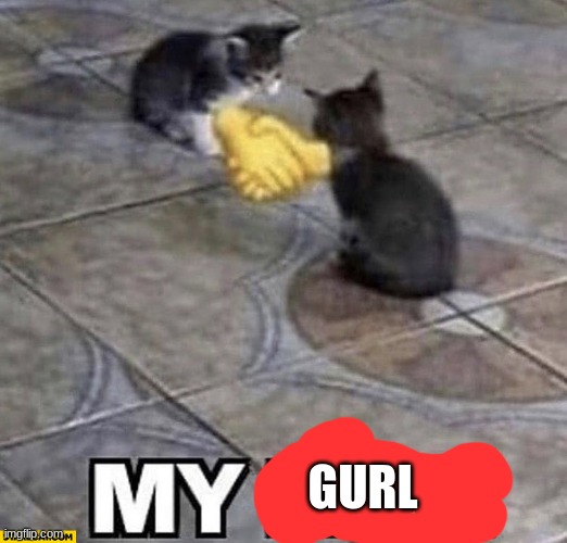 Cats shaking hands | GURL | image tagged in cats shaking hands | made w/ Imgflip meme maker