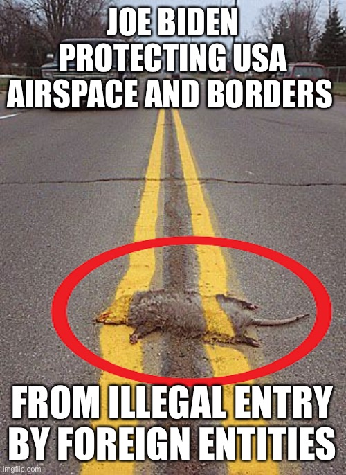 Impeach Biden for failure to protect USA | JOE BIDEN PROTECTING USA AIRSPACE AND BORDERS; FROM ILLEGAL ENTRY BY FOREIGN ENTITIES | image tagged in road kill,biden,protect borders,failed | made w/ Imgflip meme maker