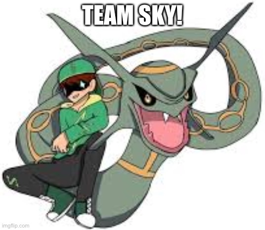 Team Sky | TEAM SKY! | image tagged in team sky | made w/ Imgflip meme maker