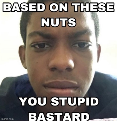Based on these nuts | image tagged in based on these nuts | made w/ Imgflip meme maker