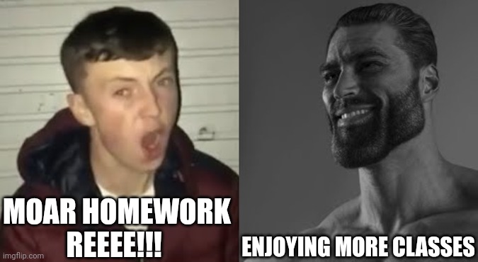 Average Enjoyer meme | MOAR HOMEWORK REEEE!!! ENJOYING MORE CLASSES | image tagged in average enjoyer meme | made w/ Imgflip meme maker