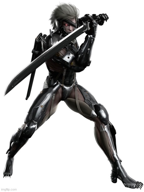 Raiden Metal Gear Rising: Revengeance | image tagged in raiden metal gear rising revengeance | made w/ Imgflip meme maker