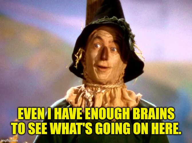 Wizard of Oz Scarecrow | EVEN I HAVE ENOUGH BRAINS TO SEE WHAT'S GOING ON HERE. | image tagged in wizard of oz scarecrow | made w/ Imgflip meme maker