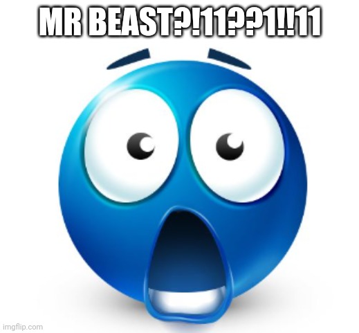 Bro is flabbergasted | MR BEAST?!11??1!!11 | image tagged in bro is flabbergasted | made w/ Imgflip meme maker