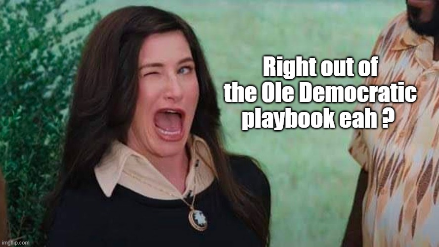 Right out of the Ole Democratic playbook eah ? | made w/ Imgflip meme maker