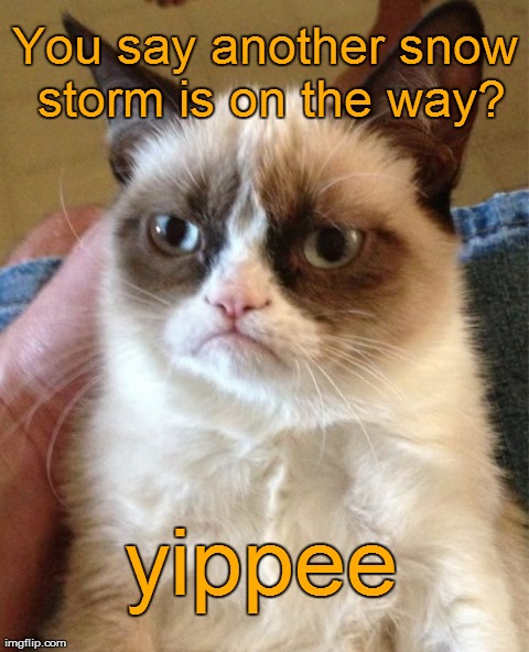 Grumpy Cat Meme | You say another snow storm is on the way? yippee | image tagged in memes,grumpy cat | made w/ Imgflip meme maker