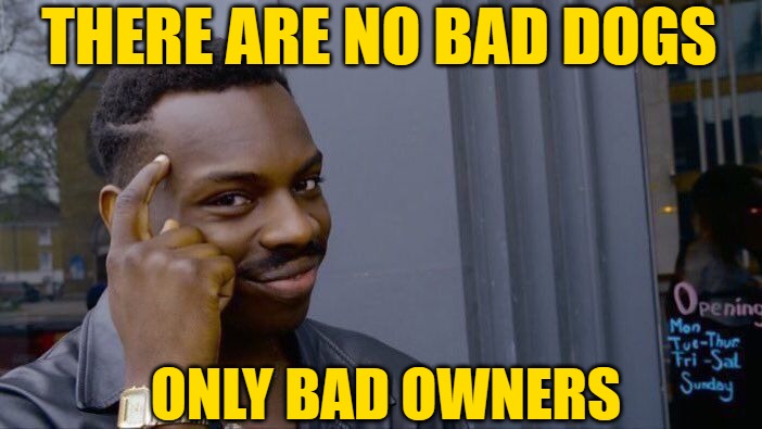 Roll Safe Think About It Meme | THERE ARE NO BAD DOGS ONLY BAD OWNERS | image tagged in memes,roll safe think about it | made w/ Imgflip meme maker