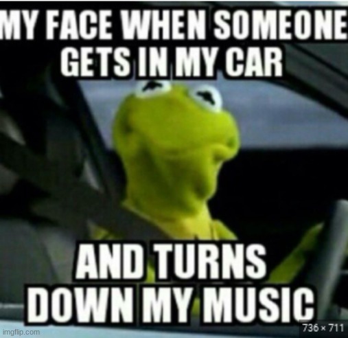 when someone turns down the music in my car | image tagged in kermit the frog | made w/ Imgflip meme maker