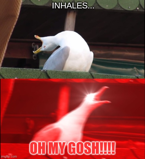 Screaming bird | INHALES... OH MY GOSH!!!! | image tagged in screaming bird | made w/ Imgflip meme maker