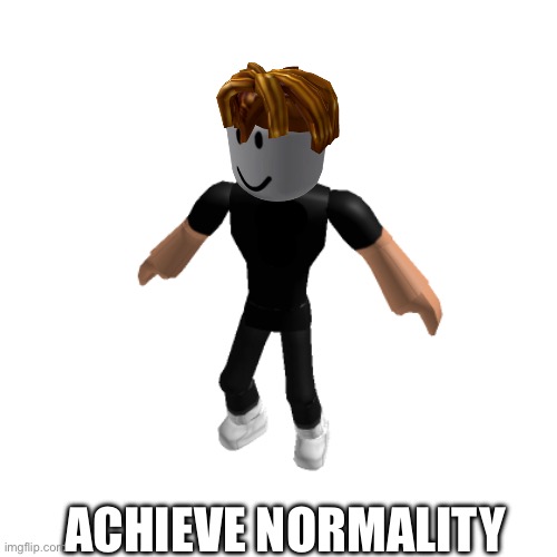 The average user of ROBLOX - Imgflip