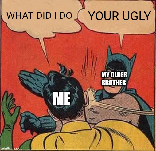 WHAT DID I DO? |  WHAT DID I DO; YOUR UGLY; MY OLDER BROTHER; ME | image tagged in memes,batman slapping robin | made w/ Imgflip meme maker