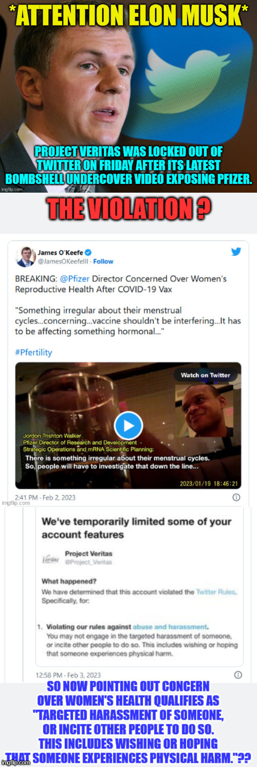 You'd think Twitter could make up a better fake violation to fit their coerced censorship for Pfizer... | image tagged in twitter,greedy,big pharma,censorship | made w/ Imgflip meme maker