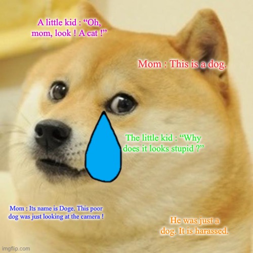 Doge Meme |  A little kid : “Oh, mom, look ! A cat !”; Mom : This is a dog. The little kid : “Why does it looks stupid ?”; Mom : Its name is Doge. This poor dog was just looking at the camera ! He was just a dog. It is harassed. | image tagged in memes,doge | made w/ Imgflip meme maker