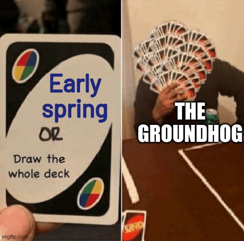 2020 | Early spring; THE GROUNDHOG | image tagged in uno draw the whole deck | made w/ Imgflip meme maker