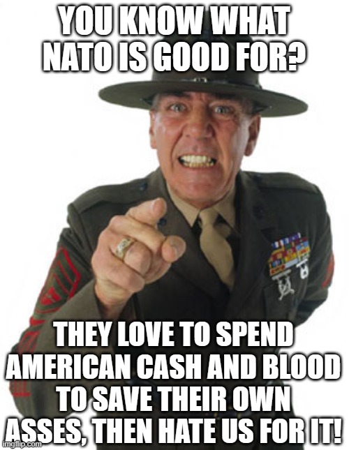 Gunny R. Lee Ermey | YOU KNOW WHAT NATO IS GOOD FOR? THEY LOVE TO SPEND AMERICAN CASH AND BLOOD TO SAVE THEIR OWN ASSES, THEN HATE US FOR IT! | image tagged in gunny r lee ermey | made w/ Imgflip meme maker